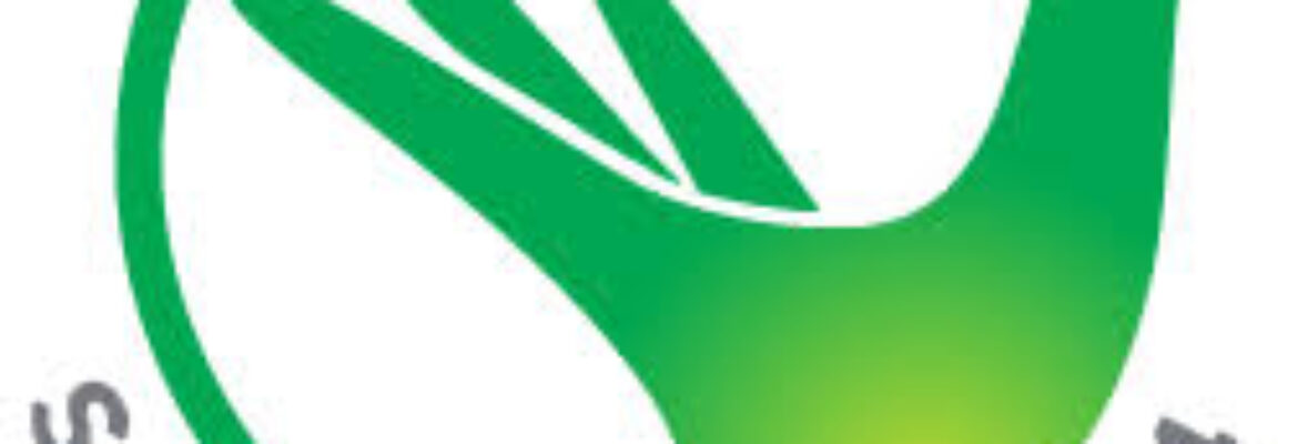 Empower Healthcare for All with Transparent Hands