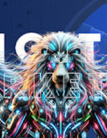 5 Kassi Digital Marketing Agency