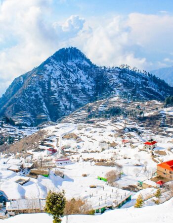 Alpine Trekkers and Tours