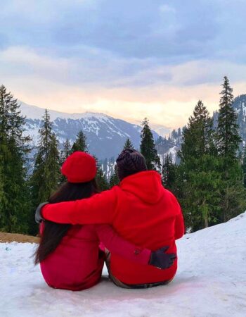 Alpine Trekkers and Tours