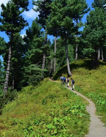 Alpine Trekkers and Tours