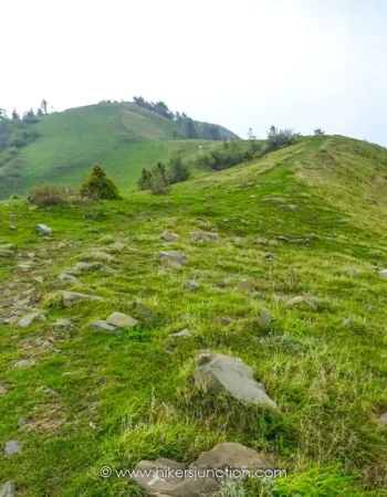 Alpine Trekkers and Tours