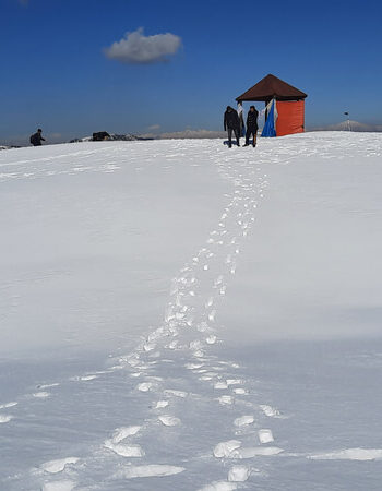 Alpine Trekkers and Tours