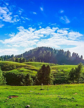 Alpine Trekkers and Tours