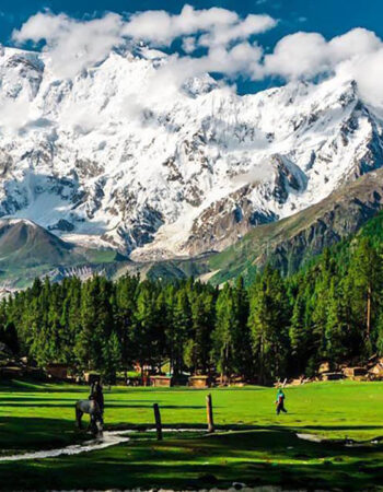 Alpine Trekkers and Tours