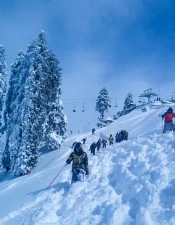 Alpine Trekkers and Tours