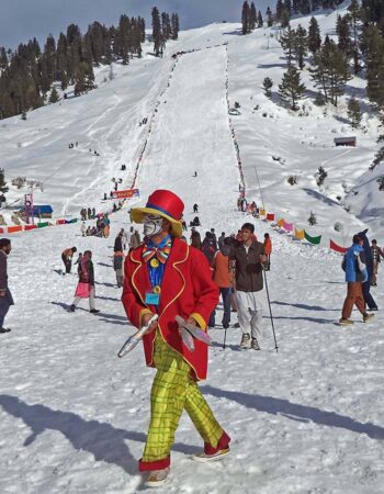 Alpine Trekkers and Tours