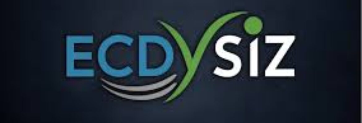 Ecdysiz – Web Hosting and Development services